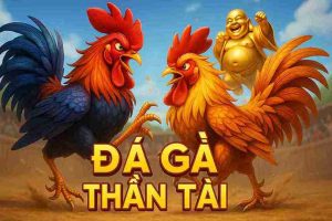 Đá Gà Thần Tài FLY88A – Trò Chơi Cá Cược Gay Cấn Nhất